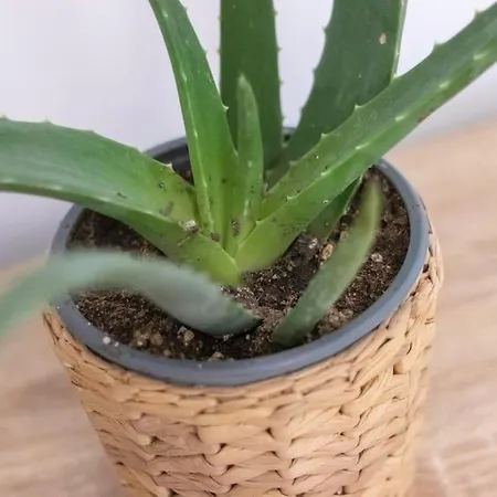 Piso En El Corazon De Апартаменти